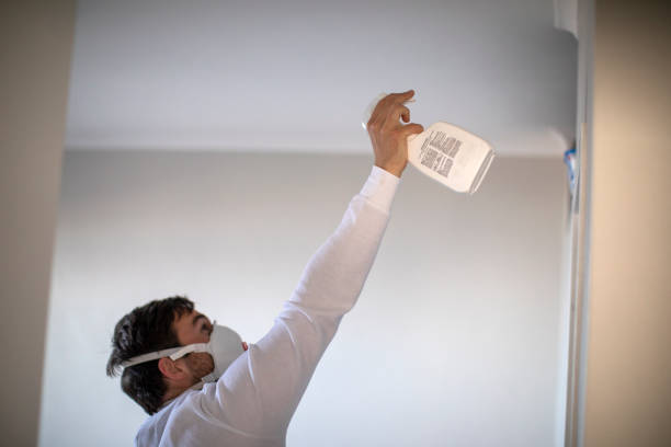 Best Toxic Mold Removal  in Montesano, WA