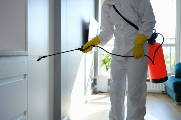 Best Mold Remediation  in Montesano, WA